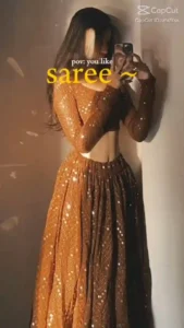 Ok-But-Saree-CapCut-Template