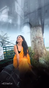 Tamil Songs CapCut Template
