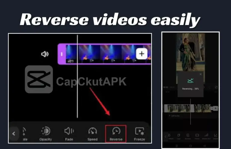 Reverse your videos easily