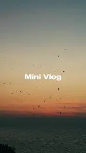 Mini Vloge