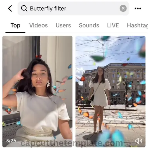 butterfly filter butterfly filter capcuttemplatex