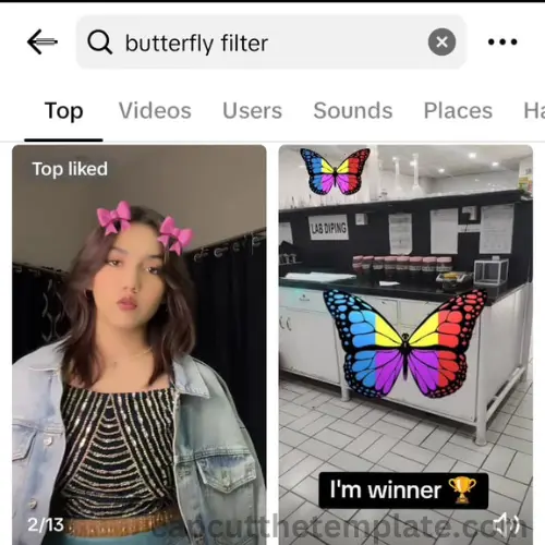 butterfly filter new CapCut Butterfly Template